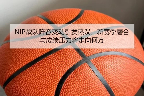 NIP战队阵容变动引发热议，新赛季磨合与成绩压力将走向何方